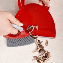 Dustpan and Brush Set
