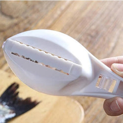Fish Scale Remover