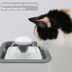 Pet Water Fountain